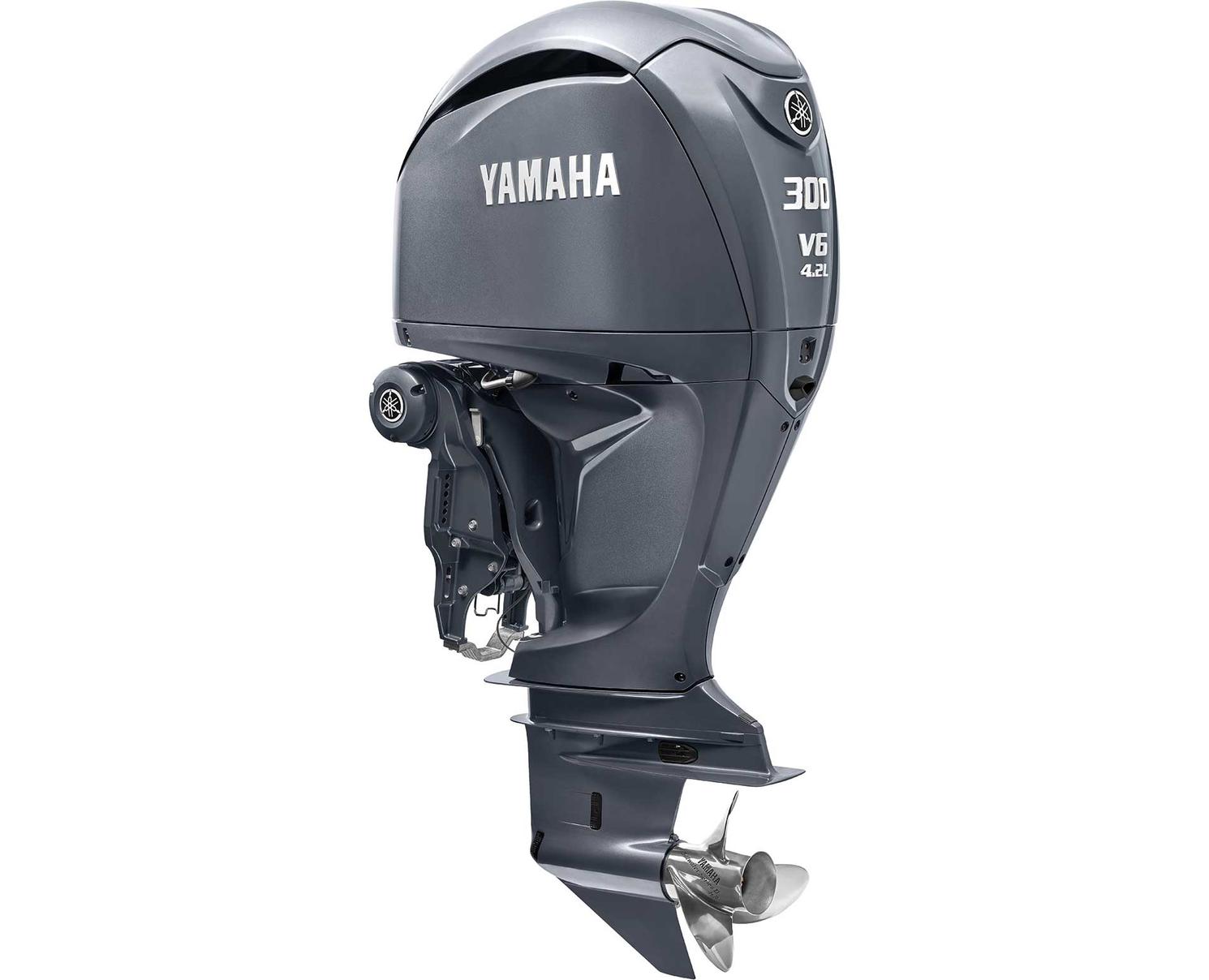 Yamaha F300 Noir gris en vente à St Zotique R1 Marine Sports