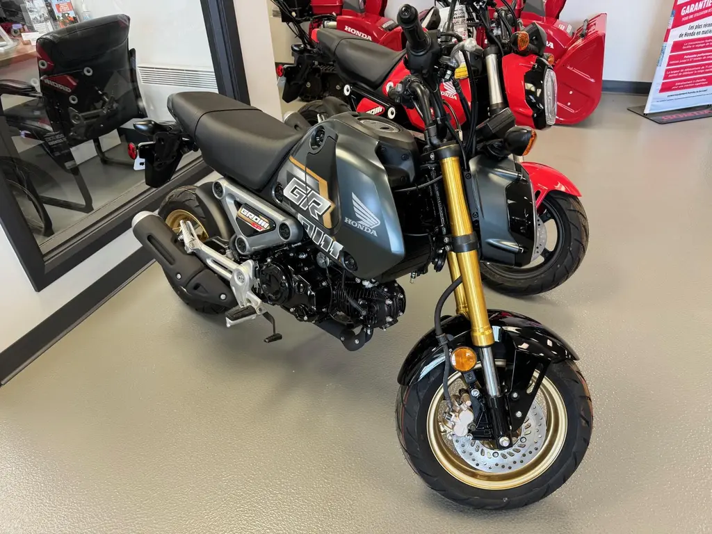 Honda Grom Msx Neuf Saint Raymond Dion Sports