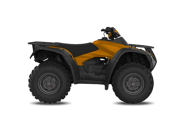 ATV