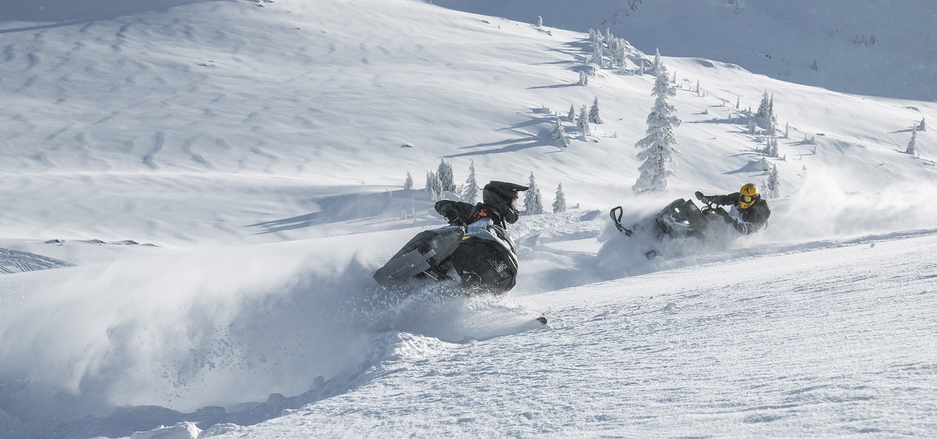 Ski Doo Hero alt