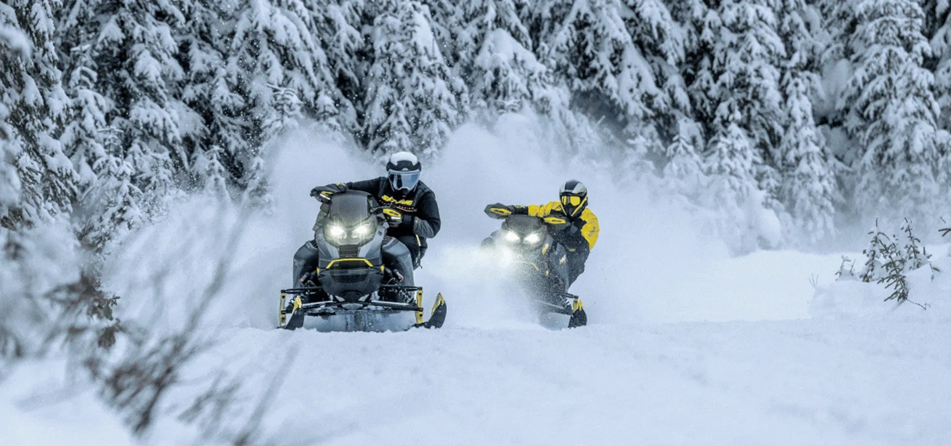 Ski Doo Hero alt