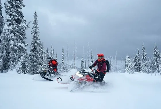 Lynx Shredder Media 4 alt