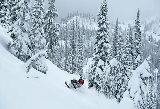 Lynx Motoneiges Shredder Media 5 alt