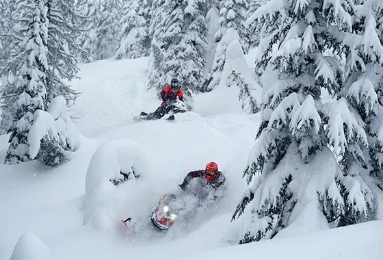 Lynx Motos De Nieve Shredder Media 6 alt