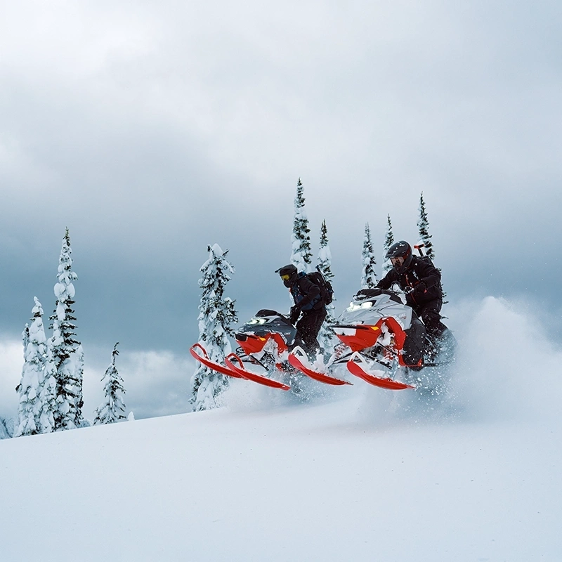 Lynx | Outdoor Experts