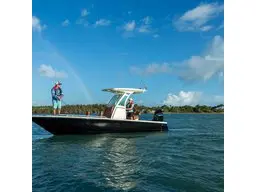 Mercury FourStroke 225