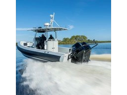 Mercury SeaPro 175-400hp SeaPro 300 AMS alt