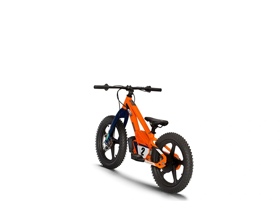 KTM 18eDrive by STACYC 18eDrive Factory Edition by STACYC alt