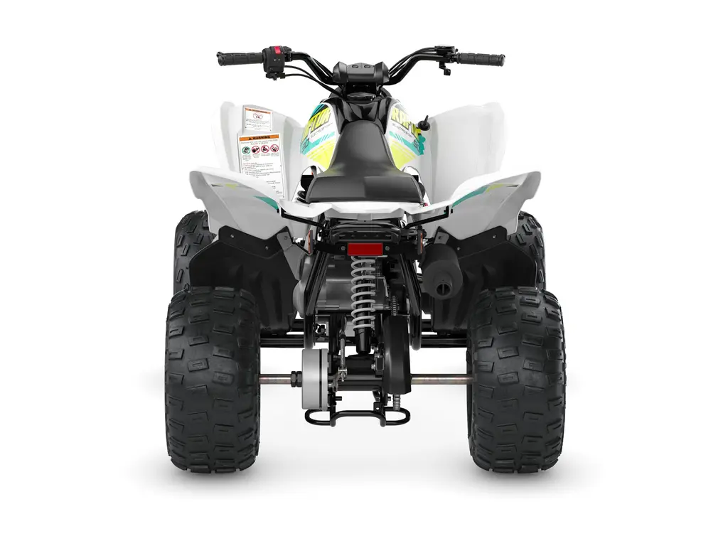 2023 Yamaha Raptor 90 White