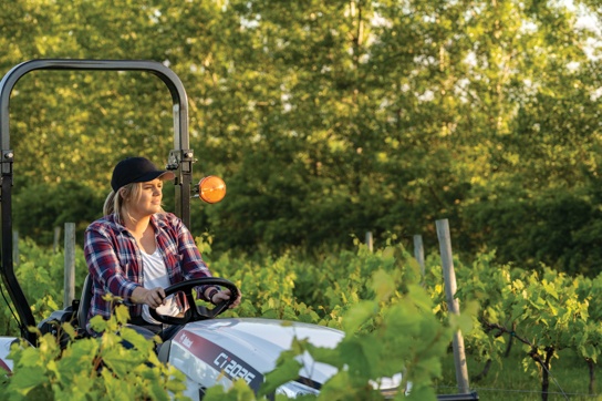 Bobcat Compact Tractors Bobcat CT2035 HST