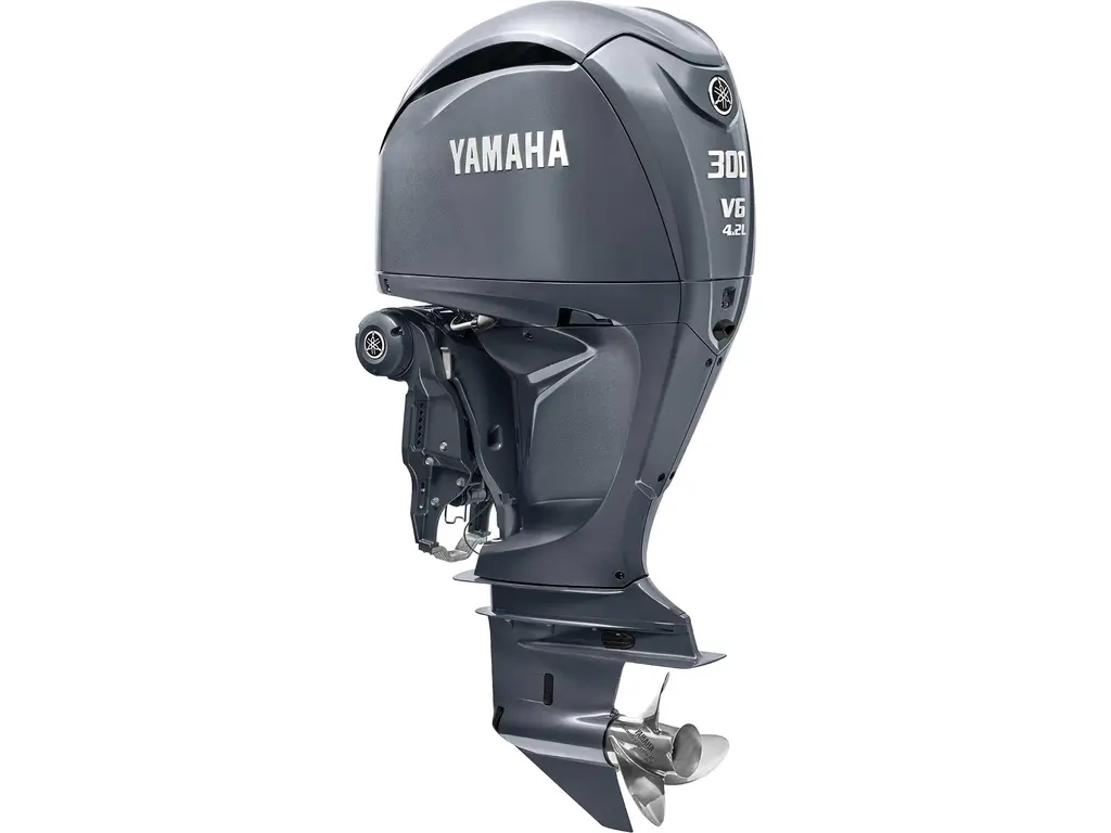 Yamaha F300 Noir/gris