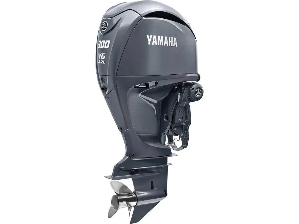 Yamaha F300 Noir/gris