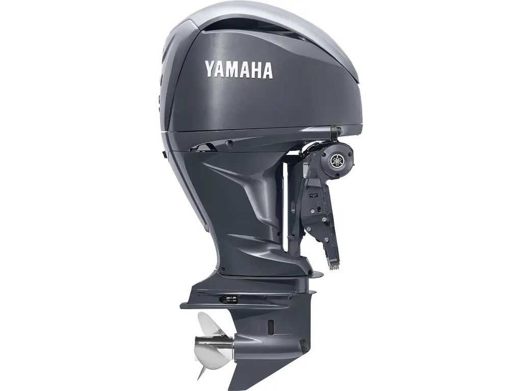 Yamaha F250 Noir/gris 