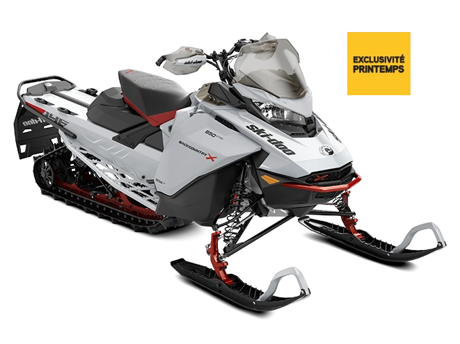 2023 Ski-Doo Backcountry X 800 Etec