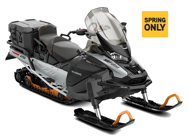 Ski-Doo Skandic SE Rotax 900 ACE Gris Catalyst / Orange Crush 2023