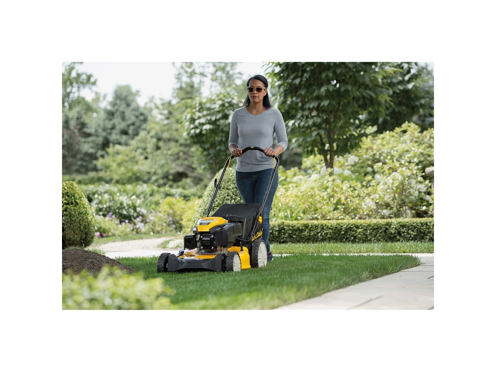 Cub Cadet SC 100HW SC 100HW alt