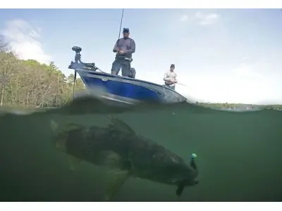 Lund 1775 Impact XS Sport