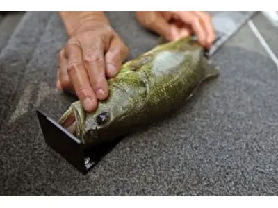 Lund 1875 Renegade SS