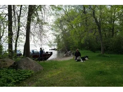 Lund 2175 Pro-V Sport