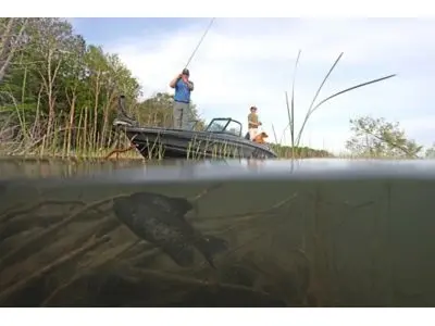 Lund 189 Pro-V GL Sport