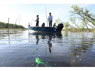 Lund 1400 Fury Tiller