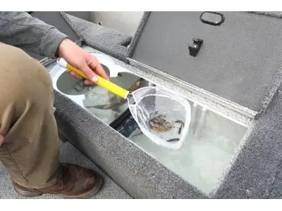 Lund 1775 Pro Guide Tiller