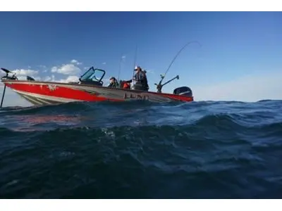 Lund 2175 Pro-V Sport