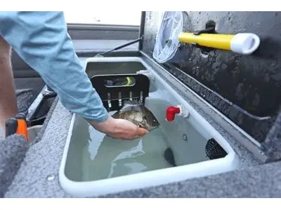 Lund 1975 Pro-V Sport