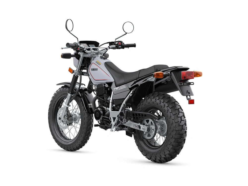 2024 Yamaha TW200 TW200 Gallant Gray