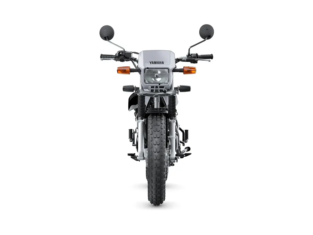 2024 Yamaha TW200 Gallant Gray