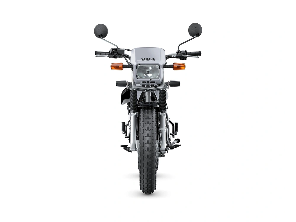 Yamaha TW200 TW200 Gris Gallant 2024