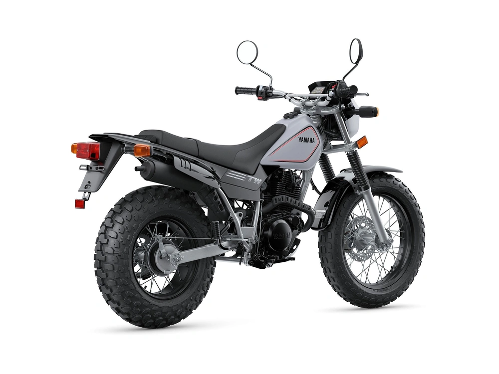 2024 Yamaha TW200 TW200 Gallant Gray