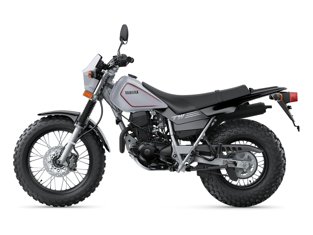 2024 Yamaha TW200 TW200 Gallant Gray