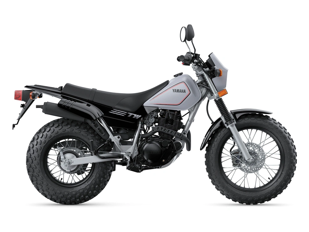 2024 Yamaha TW200 TW200 Gallant Gray