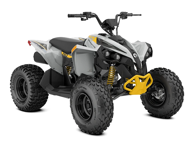 2024 Can-Am Renegade EFI Renegade 110 EFI Catalyst Gray & Neo yellow 110