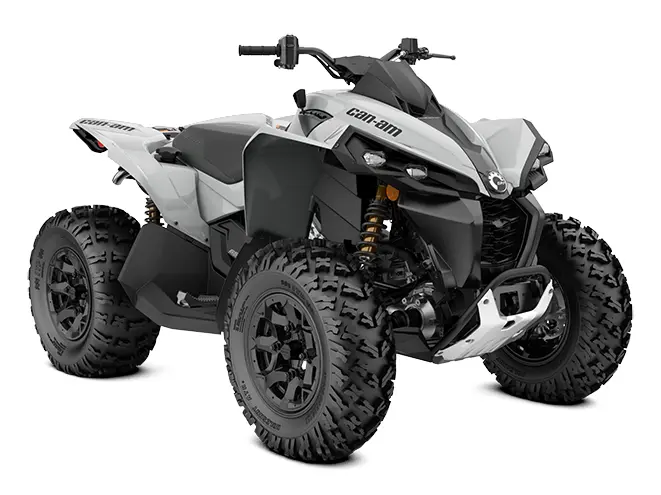2024 Can-Am Renegade 650 Catalyst Gray