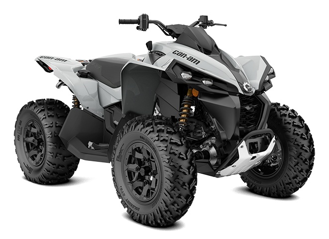 2024 Can-Am Renegade 650 Catalyst Gray