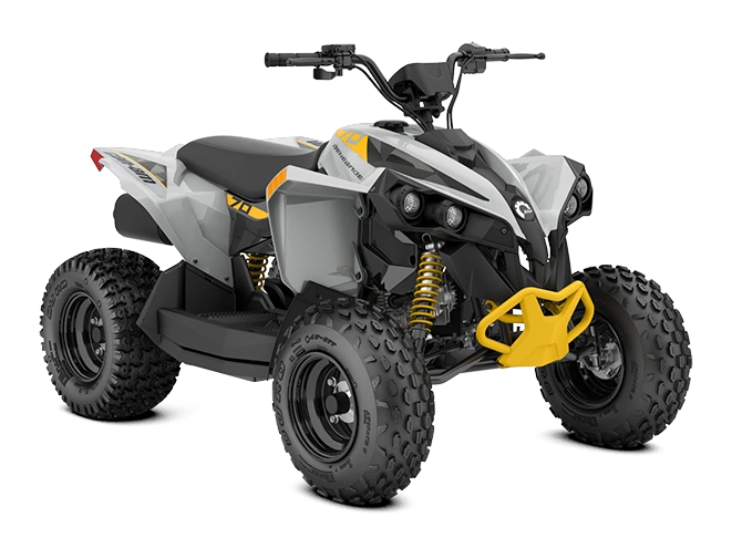 2024 Can-Am Renegade EFI Renegade 70 EFI Catalyst Gray & Neo yellow 70