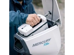 Mercury Avator Avator 7.5e alt