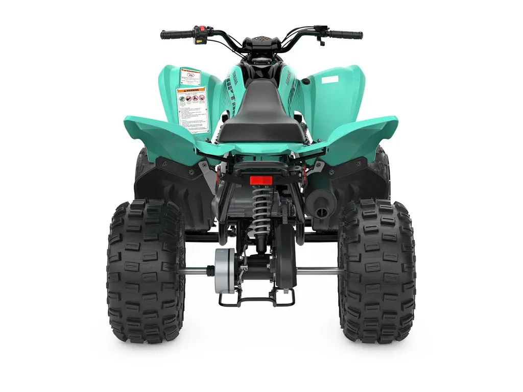 2024 Yamaha Raptor 110 Teal