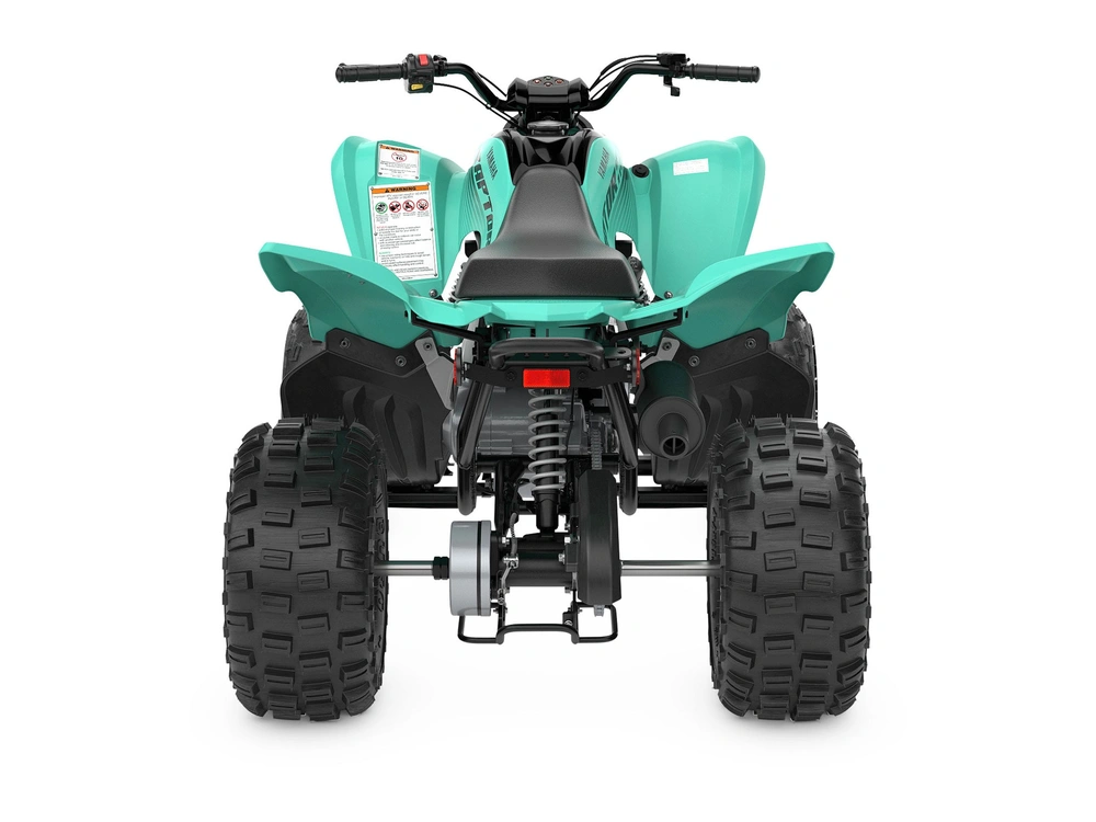 2024 Yamaha Raptor 110 Raptor 110 Teal