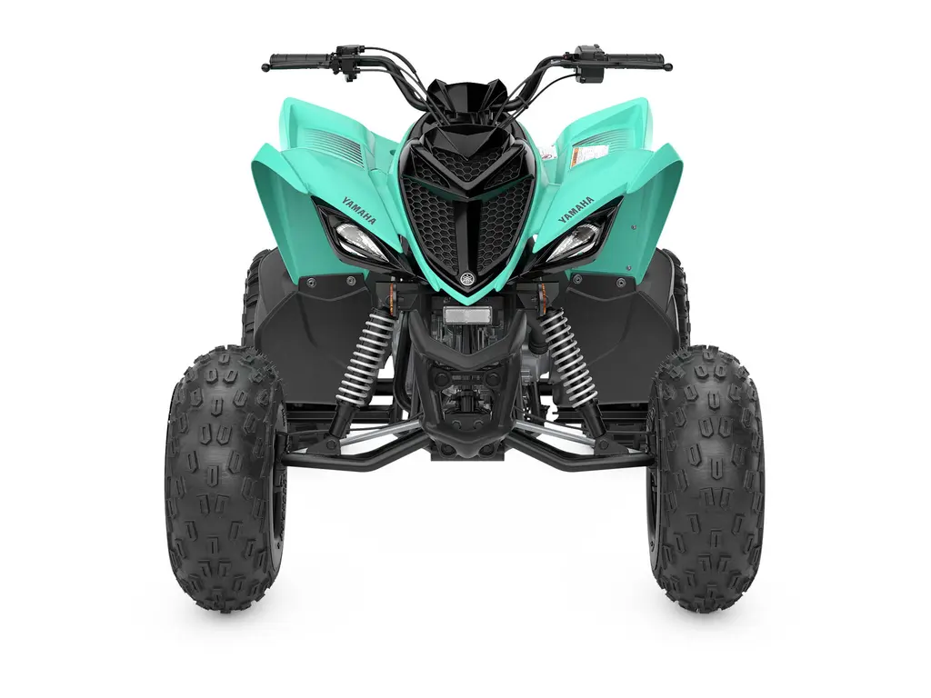 2024 Yamaha Raptor 110 Teal