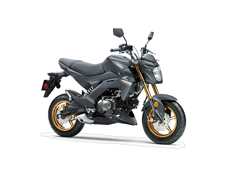 2024 Kawasaki Z125 PRO Z125 PRO Metallic Matte Dark Gray alt