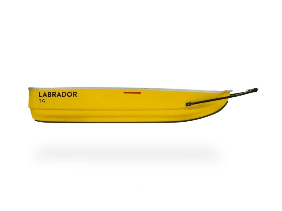 Labrador TG TG alt