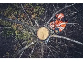 Husqvarna 562 XP® G Mark II