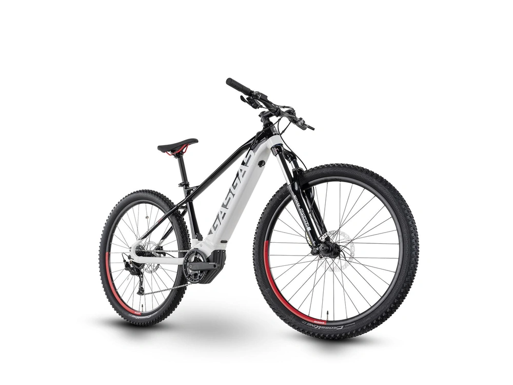 GASGAS G Cross Country 2.0 G Cross Country 2.0 Black / White 2024 alt