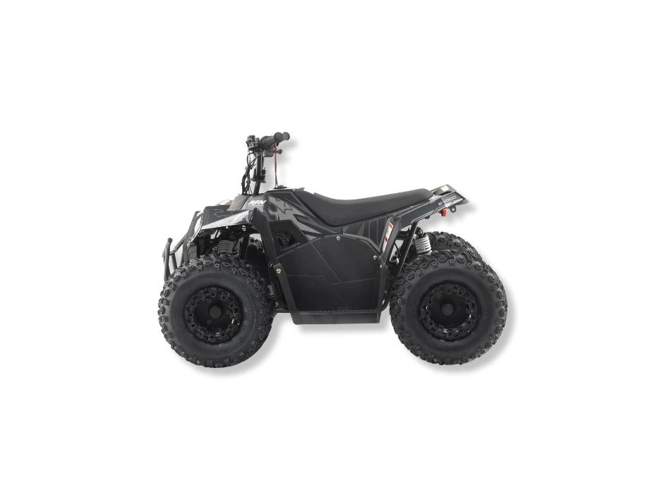 Apollo Motors RFN E-1000 RFN E-1000 2024 alt