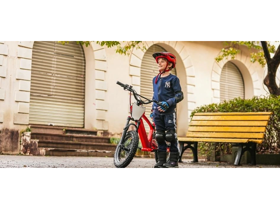 2024 Apollo Motors EVO 18 EVO 18 alt