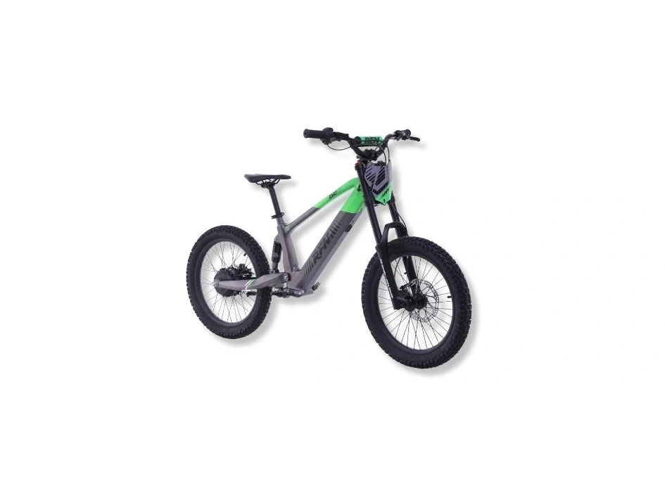 2024 Apollo Motors EVO 20 EVO 20 alt