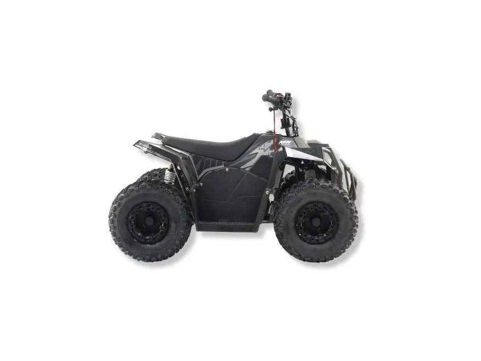 Apollo Motors RFN E-1000 2024